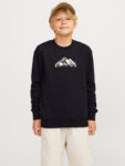 Sudadera Chico Jack Jones